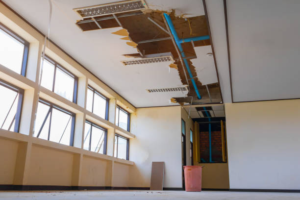 Trusted Saucier, MS Water damage restoration Experts