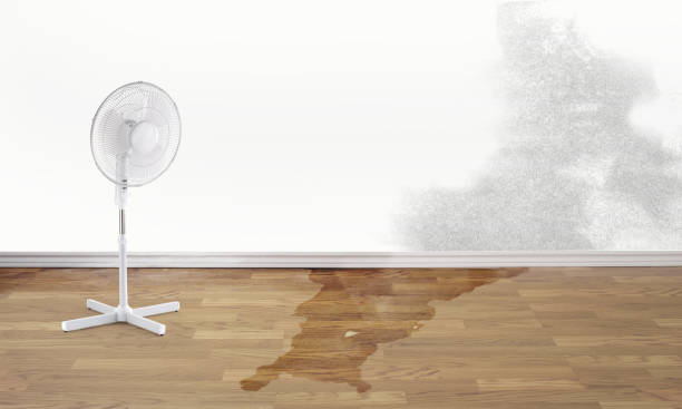 Water damage restoration process in Saucier, MS