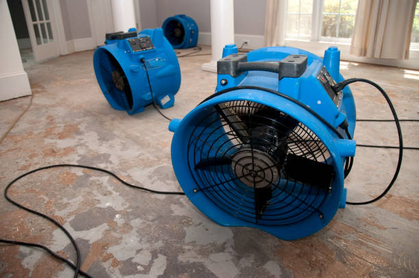 Best Residential water damage restoration  in Saucier, MS