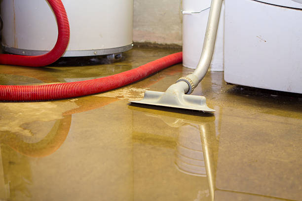 Carpet water damage restoration in Saucier, MS