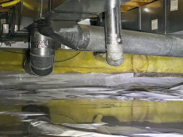 Best Flooded house restoration  in Saucier, MS