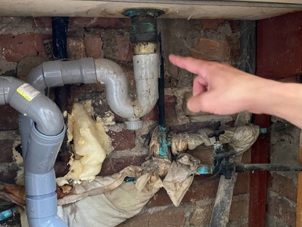 Best Flooded house restoration  in Saucier, MS