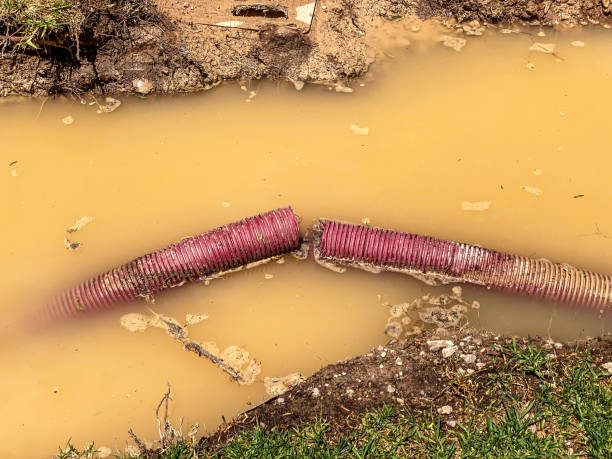 Best Sewage cleanup and water damage restoration  in Saucier, MS