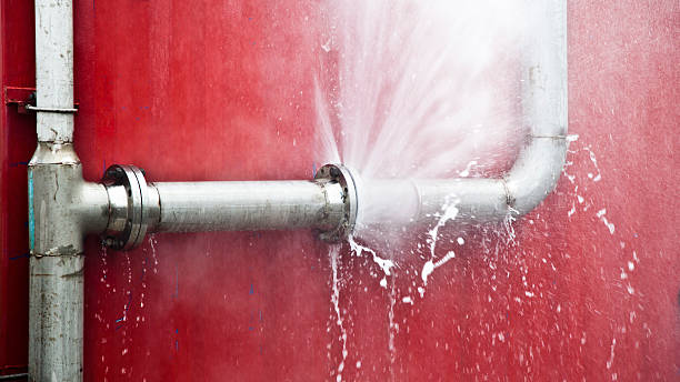 Best Flood damage cleanup  in Saucier, MS